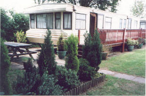 st51a.jpg